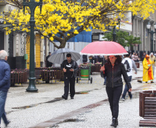 A primavera começa às 4h50 desta segunda-feira, 23 de setembro, e termina à 1h19 de 22 de dezembro. Segundo a previsão do Simepar, no primeiro dia da estação as temperaturas serão amenas na maior parte do Paraná. As mínimas devem ficar entre 5 oC em Rio Negro e 17 oC em Guaíra. As máximas devem variar de 13 oC em Curitiba a 29 oC em Paranavaí e Umuarama. Foto: José Fernando Ogura/AEN