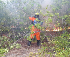 A atuação que os bombeiros paranaenses tiveram na Amazônia, integrando a Operação Verde Brasil, do Ministério da Defesa, será valiosa para os trabalhos no Paraná, em favor da população do Estado. “Nossa experiência na Amazônia nos prepara para o trabalho que faremos no nosso Estado”, avalia o tenente-coronel Fernando Raimundo Schunig, comandante da equipe paranaense e do 3º Comando Regional dos Bombeiros, sediado em Cascavel (Oeste). Foto: Divulgalção/PMPR