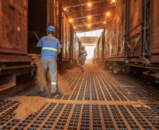 Até o final deste ano, o Porto de Paranaguá deve receber para descarga mais de 6,12 milhões de toneladas de granéis para exportação. O volume esperado para o último trimestre de 2019 é 14% maior que o total movimentado pelo setor no mesmo período do ano passado. Nos três últimos meses de 2018 foram exportadas cerca de 5,26 milhões de toneladas de soja, milho, farelo e açúcar. Foto: Claudio Neves/Portos do Paraná