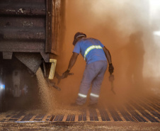 Até o final deste ano, o Porto de Paranaguá deve receber para descarga mais de 6,12 milhões de toneladas de granéis para exportação. O volume esperado para o último trimestre de 2019 é 14% maior que o total movimentado pelo setor no mesmo período do ano passado. Nos três últimos meses de 2018 foram exportadas cerca de 5,26 milhões de toneladas de soja, milho, farelo e açúcar. Foto: Claudio Neves/Portos do Paraná