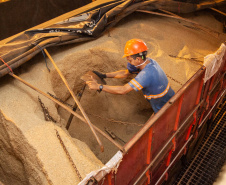 Até o final deste ano, o Porto de Paranaguá deve receber para descarga mais de 6,12 milhões de toneladas de granéis para exportação. O volume esperado para o último trimestre de 2019 é 14% maior que o total movimentado pelo setor no mesmo período do ano passado. Nos três últimos meses de 2018 foram exportadas cerca de 5,26 milhões de toneladas de soja, milho, farelo e açúcar. Foto: Claudio Neves/Portos do Paraná