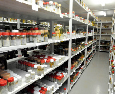 O Museu de Zoologia da UEL (MZUEL), ligado ao Departamento de Biologia Animal e Vegetal, do Centro de Ciências Biológicas (CCB), traz contribuições relevantes para a identificação de novas espécies de peixes no Brasil e na América do Sul. Só nos últimos 18 anos, foram identificadas e catalogadas 90 novas espécies de peixes por pesquisadores da UEL, em estudos conduzidos pelos professores do CCB, Oscar Akio Shibatta, José Luís Birindelli e Fernando Jerep. Foto: Divulgação/UEL