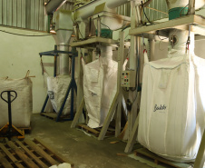 Produção de Erva Mate em São Mateus do Sul. Foto: José Fernando Ogura/ANPr - 01/2019