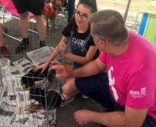 O Paraná Pet Amigo resultou na adoção de 91 animais, consequência dos eventos realizados no Parque Barigui, em Curitiba, e em diversos pontos do Interior do Estado. A ação promovida pela Secretaria de Estado Desenvolvimento Sustentável e do Turismo ocorreu no sábado (05) simultaneamente a outras atividades do Outubro Rosa, com programação integrada pelas Secretarias de Estado da Justiça, Família e Trabalho e da Saúde.