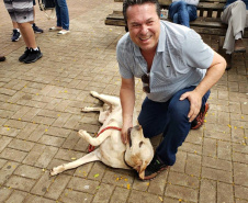 O Paraná Pet Amigo resultou na adoção de 91 animais, consequência dos eventos realizados no Parque Barigui, em Curitiba, e em diversos pontos do Interior do Estado. A ação promovida pela Secretaria de Estado Desenvolvimento Sustentável e do Turismo ocorreu no sábado (05) simultaneamente a outras atividades do Outubro Rosa, com programação integrada pelas Secretarias de Estado da Justiça, Família e Trabalho e da Saúde.