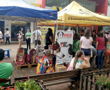 O Paraná Pet Amigo resultou na adoção de 91 animais, consequência dos eventos realizados no Parque Barigui, em Curitiba, e em diversos pontos do Interior do Estado. A ação promovida pela Secretaria de Estado Desenvolvimento Sustentável e do Turismo ocorreu no sábado (05) simultaneamente a outras atividades do Outubro Rosa, com programação integrada pelas Secretarias de Estado da Justiça, Família e Trabalho e da Saúde.
