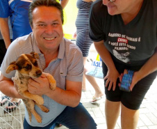 O Paraná Pet Amigo resultou na adoção de 91 animais, consequência dos eventos realizados no Parque Barigui, em Curitiba, e em diversos pontos do Interior do Estado. A ação promovida pela Secretaria de Estado Desenvolvimento Sustentável e do Turismo ocorreu no sábado (05) simultaneamente a outras atividades do Outubro Rosa, com programação integrada pelas Secretarias de Estado da Justiça, Família e Trabalho e da Saúde.
