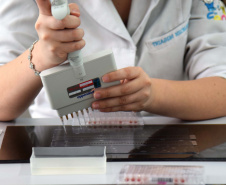 O Paraná ampliou em 17% o número de Teste da Mãezinha em 2019, em comparação aos dois últimos anos. De janeiro até 30 de setembro, 51.191 mulheres fizeram o procedimento para identificação de situações que podem levar risco à gestação e ao parto prematuro, a exemplo da doença falciforme e a talassemia. A coleta de sangue para o exame é recomendada a partir do primeiro trimestre da gravidez. Foto: Divulgação/SESA