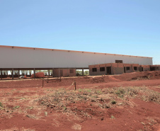 Um novo empreendimento de fruticultura, que recebe investimentos de R$ 26 milhões e está sendo instalado em Santo Antonio do Paraíso, no Norte Pioneiro, deverá impactar a economia da região. O empreendimento Vila Puree é integrado com produtores, que vão produzir oito tipos de frutas para extração da polpa. A renda que será gerada no campo está estimada em R$ 3,2 milhões por ano agrícola. Foto:Divulgação/SEAB