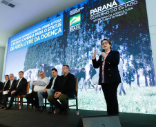 O Paraná deixará de vacinar os rebanhos de bovinos e bubalinos contra a febre aftosa a partir de 31 de outubro. A suspensão da vacinação foi autorizada por instrução normativa assinada nesta terça-feira (15) pela ministra da Agricultura, Pecuária e Abastecimento, Tereza Cristina, e o governador Carlos Massa Ratinho Junior, no Palácio Iguaçu.