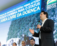 O Paraná deixará de vacinar os rebanhos de bovinos e bubalinos contra a febre aftosa a partir de 31 de outubro. A suspensão da vacinação foi autorizada por instrução normativa assinada nesta terça-feira (15) pela ministra da Agricultura, Pecuária e Abastecimento, Tereza Cristina, e o governador Carlos Massa Ratinho Junior, no Palácio Iguaçu.
