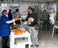 A professora Sirlei Martins, do Centro Municipal de Educação Infantil (Cmei) Iracema, instalado no Bairro Cajuru, em Curitiba, não escondeu o contentamento ao entrar na barraca. Enquanto recolhia folhetos explicativos sobre horta e alimentação saudável, ela comentou seu interesse. Quando chegou ao Cmei no início do ano viu que vários de seus alunos desprezavam o alface e o tomate dos sanduíches naturais que recebiam.Foto: Divulgação/SEAB