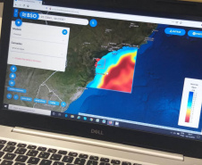 Portos podem colaborar com o Observatório Brasileiro do Mar. Foto: Divulgação/Portos do Paraná