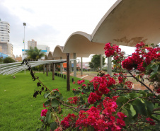 Londrina - Museu de Arte. Foto: José Fernando Ogura/ANPr