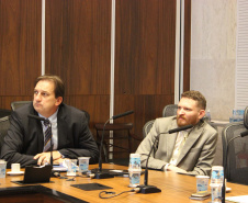 Os projetos do Corredor Oeste de Exportação - Nova Ferroeste, que deverá ligar Maracaju (MS) ao Porto de Paranaguá, incluindo o ramal Cascavel a Foz do Iguaçu, foram apresentados aos empresários da RZD International, uma operadora do sistema ferroviário russo. Foto: Divulgação/SEPL