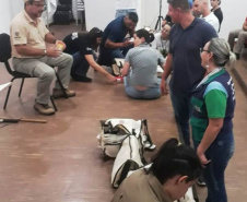 O Serviço Estadual de Vigilância dos Acidentes por Animais Peçonhentos da Secretaria da Saúde promove treinamentos de forma contínua para manter os técnicos da área atualizados. Foto: Divulgação/SESA
