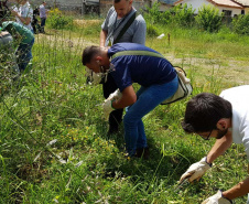 A Secretaria da Saúde do Paraná orienta a manter os ambientes limpos e organizados para evitar o aparecimento de animais peçonhentos, como aranhas, escorpiões, serpentes, que têm maior incidência em períodos de calor. Dados de 2018 indicam que no Paraná aconteceram mais de 18 mil acidentes com algum tipo de animal peçonhento.Foto: Divulgação/SESA