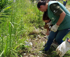 A Secretaria da Saúde do Paraná orienta a manter os ambientes limpos e organizados para evitar o aparecimento de animais peçonhentos, como aranhas, escorpiões, serpentes, que têm maior incidência em períodos de calor. Dados de 2018 indicam que no Paraná aconteceram mais de 18 mil acidentes com algum tipo de animal peçonhento.Foto: Divulgação/SESA