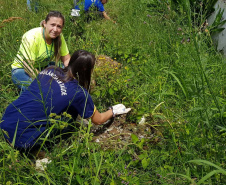 A Secretaria da Saúde do Paraná orienta a manter os ambientes limpos e organizados para evitar o aparecimento de animais peçonhentos, como aranhas, escorpiões, serpentes, que têm maior incidência em períodos de calor. Dados de 2018 indicam que no Paraná aconteceram mais de 18 mil acidentes com algum tipo de animal peçonhento.Foto: Divulgação/SESA