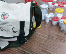 A Secretaria da Saúde do Paraná orienta a manter os ambientes limpos e organizados para evitar o aparecimento de animais peçonhentos, como aranhas, escorpiões, serpentes, que têm maior incidência em períodos de calor. Dados de 2018 indicam que no Paraná aconteceram mais de 18 mil acidentes com algum tipo de animal peçonhento.Foto: Divulgação/SESA