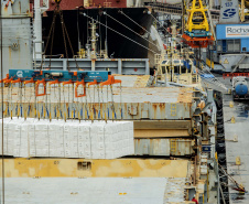  Klabin exporta sua maior carga pelo Porto de Paranaguá
