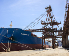 O Porto de Paranaguá faz nesta semana a segunda maior operação de granéis de sua história em um único navio. Serão 89 mil toneladas de farelo de soja, carregadas no Kang Xin Hai, que tem 254 metros de comprimento e segue para o porto de Amsterdã, na Holanda. A operação movimenta o equivalente a 3 mil caminhões de produto e o embarque durará sete dias.