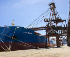 O Porto de Paranaguá faz nesta semana a segunda maior operação de granéis de sua história em um único navio. Serão 89 mil toneladas de farelo de soja, carregadas no Kang Xin Hai, que tem 254 metros de comprimento e segue para o porto de Amsterdã, na Holanda. A operação movimenta o equivalente a 3 mil caminhões de produto e o embarque durará sete dias.