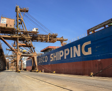 O Porto de Paranaguá faz nesta semana a segunda maior operação de granéis de sua história em um único navio. Serão 89 mil toneladas de farelo de soja, carregadas no Kang Xin Hai, que tem 254 metros de comprimento e segue para o porto de Amsterdã, na Holanda. A operação movimenta o equivalente a 3 mil caminhões de produto e o embarque durará sete dias.