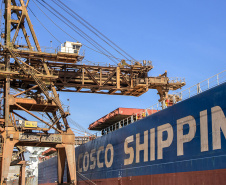 O Porto de Paranaguá faz nesta semana a segunda maior operação de granéis de sua história em um único navio. Serão 89 mil toneladas de farelo de soja, carregadas no Kang Xin Hai, que tem 254 metros de comprimento e segue para o porto de Amsterdã, na Holanda. A operação movimenta o equivalente a 3 mil caminhões de produto e o embarque durará sete dias.