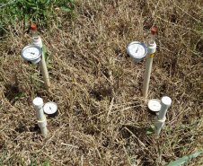 Uso de tensiômetro garante eficiência da irrigação no campo. Foto: Divulgação/Emater