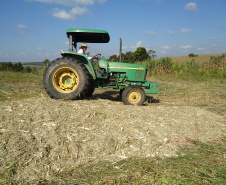No município de Palmas, na região de Pato Branco, os produtores estão fazendo o plantio de milho para a produção de silagem. Eles sabem que a qualidade depende de cuidados que começam agora. A escolha da semente, o cultivo e o ponto de colheita vão influenciar diretamente o valor nutritivo do alimento a ser oferecido para o gado.Foto: Divulgação/Emater