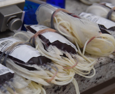 A Secretaria de Estado da Saúde celebra nesta segunda-feira (25) o Dia Nacional do Doador de Sangue ressaltando a importância deste ato de amor e solidariedade.

O Hemepar é o órgão responsável no Paraná pela coleta, armazenamento, processamento, transfusão e distribuição de sangue para 385 hospitais públicos, privados e filantrópicos, além de atender 92,8% de leitos SUS no Estado. FOTO: Divulgação/SESA
