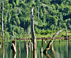 Bacias hidrográficas do Paraná abrigam belezas e potencial turístico. Foto: Denis Ferreira Netto/SEDEST