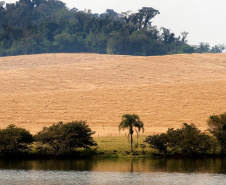 Bacias hidrográficas do Paraná abrigam belezas e potencial turístico.Foto: Denis Ferreira Netto/AEN