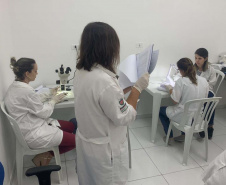Saúde capacita técnicos na identificação de morcegos. Foto: SESA