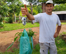 O trabalho do Instituto Emater com produtores da região de Francisco Beltrão trouxe um aumento médio de 35% na produção diária de leite por vaca, o que representa quase 3 mil litros a mais por mês em cada propriedade. O incremento na renda das famílias foi significativo e houve ainda redução do custo de produção. Foto: Emater