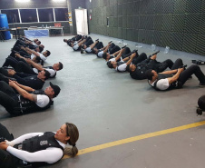 Polícia Civil do Paraná lança 2ª edição de sua revista científica. Foto: PCPR
