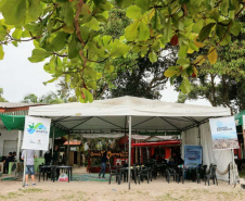 A empresa Portos do Paraná levou pela primeira vez o projeto Porto em Ação para além do continente. A comunidade beneficiada foi a de Encantadas, na Ilha do Mel. Nesta quarta-feira (4), os moradores tiveram acesso a exames clínicos e vacinação, além de corte de cabelo, aulas de xadrez, orientações sobre qualidade de vida e atividades físicas. Foto: Portos do Paraná