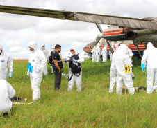A Polícia Científica do Paraná realizou quinta-feira (5), no Aeroporto Internacional Afonso Pena, em São José dos Pinhais, um simulado para avaliação das práticas abordadas no curso de Perícia em Local de Desastres em Massa - Identificação de Vítimas de Desastres (DVI). A aula em campo contou com o apoio da Infraero e do grupo Tigre da Polícia Civil. O curso foi encerrado na manhã desta sexta-feira (06).Foto:SESP