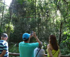 Turismo no Paraná tem o melhor desempenho do ano em outubro -  Foz do Iguaçu. Foto: José Fernando Ogura/AEN