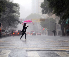 Risco de leptospirose cresce nos períodos de chuvas itensas. Foto: Gilson Abreu/AEN