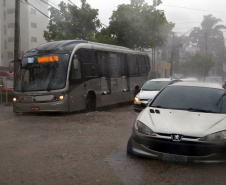 Risco de leptospirose cresce nos períodos de chuvas itensas. Foto: Gilson Abreu/AEN