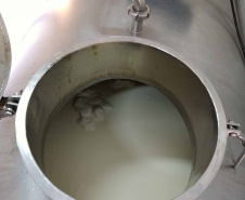 Além de complementar a alimentação de 118 mil crianças que recebem gratuitamente um litro de leite enriquecido por dia em todo o Paraná, o programa Leite das Crianças é um dos grandes responsáveis por fomentar a pecuária leiteira no Estado. Foto: SEAB