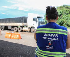ADAPAR - Posto de Fiscalização de Trânsito Agropecuário. Barracão, 15/01/2020 -  Foto: Geraldo Bubniak/AEN