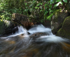 A cidade de Piraquara guarda uma riqueza incalculável para boa parte da população da Região Metropolitana de Curitiba: a sua principal fonte de água ou os chamados Mananciais da Serra. Eles são parte de uma Área de Preservação Ambiental (APA) e compõem o Parque Estadual Pico do Marumbi e o Roteiro Caminho Trentino de Piraquara, que são atrações especiais e pouco conhecidas do verão paranaense. Foto: José Fernando Ogura/AEN