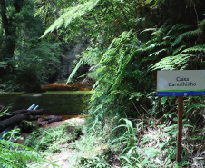 A cidade de Piraquara guarda uma riqueza incalculável para boa parte da população da Região Metropolitana de Curitiba: a sua principal fonte de água ou os chamados Mananciais da Serra. Eles são parte de uma Área de Preservação Ambiental (APA) e compõem o Parque Estadual Pico do Marumbi e o Roteiro Caminho Trentino de Piraquara, que são atrações especiais e pouco conhecidas do verão paranaense. Foto: José Fernando Ogura/AEN
