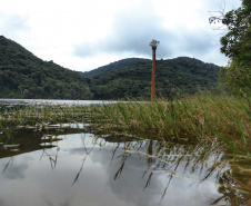A cidade de Piraquara guarda uma riqueza incalculável para boa parte da população da Região Metropolitana de Curitiba: a sua principal fonte de água ou os chamados Mananciais da Serra. Eles são parte de uma Área de Preservação Ambiental (APA) e compõem o Parque Estadual Pico do Marumbi e o Roteiro Caminho Trentino de Piraquara, que são atrações especiais e pouco conhecidas do verão paranaense. Foto: José Fernando Ogura/AEN