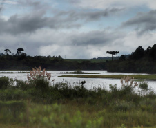 A cidade de Piraquara guarda uma riqueza incalculável para boa parte da população da Região Metropolitana de Curitiba: a sua principal fonte de água ou os chamados Mananciais da Serra. Eles são parte de uma Área de Preservação Ambiental (APA) e compõem o Parque Estadual Pico do Marumbi e o Roteiro Caminho Trentino de Piraquara, que são atrações especiais e pouco conhecidas do verão paranaense. Foto: José Fernando Ogura/AEN