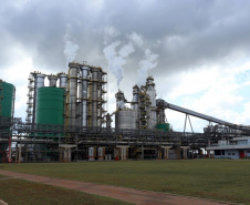 Somente no segundo semestre de 2019, já foram contratados quase 4 mil trabalhadores para a obra. -  Ortigueira, 16/04/2019  -  Foto: Rodrigo Félix Leal