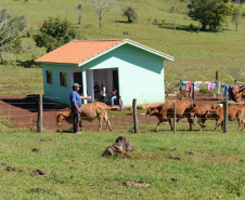 Produtores agrícolas paranaenses que desejam construir suas casas têm um novo incentivo do poder público. O Governo do Paraná e o Banco do Brasil firmaram uma parceria que oferece financiamentos de R$ 50 mil para a execução das obras dentro do Programa Nacional de Fortalecimento da Agricultura Familiar (Pronaf). O primeiro contrato que marcou o início dos trabalhos foi assinado durante o 32.º Show Rural, que vai até esta sexta-feira (7), em Cascavel.